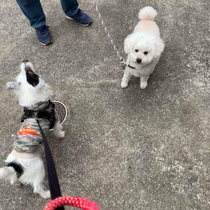 22ce9a11 a2c7 45bf b382 74aef939ca6b 1712306388132