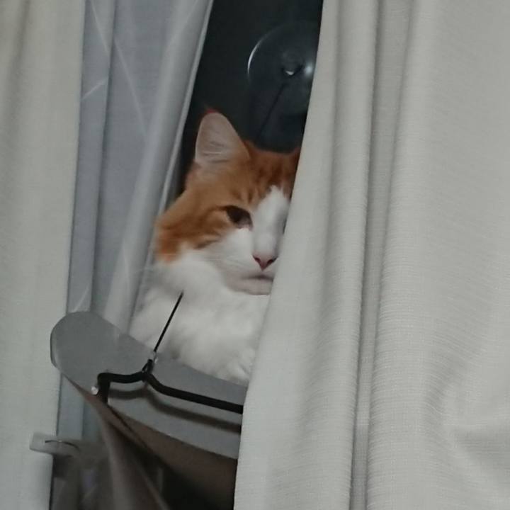 22ceb169 b3a5 41cd b976 14bcb9fb907f 1575904051569