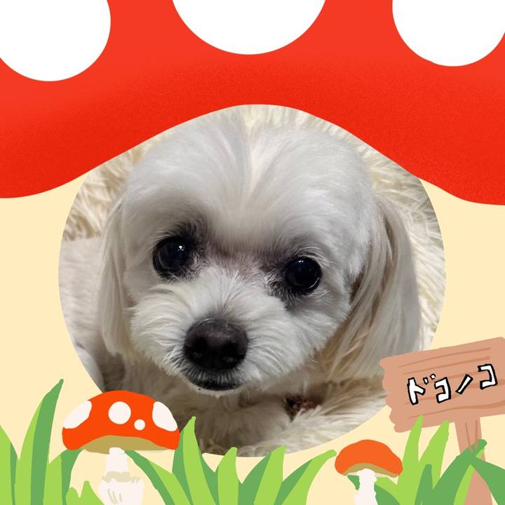 22cf0122 a59d 443b bebd c632a752b650 1729222200440