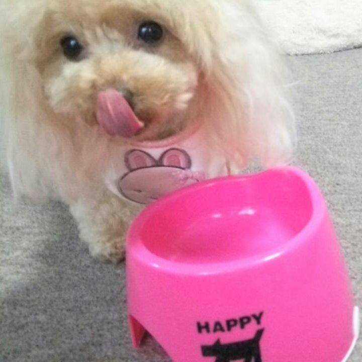 22cf023e 1586 43a0 b24e 1995f5212152 1536969344009