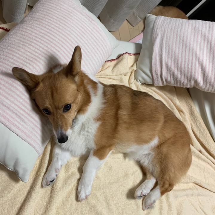 22cf30d4 cca3 4fd4 ba40 35a755fd22c1 1595465502668