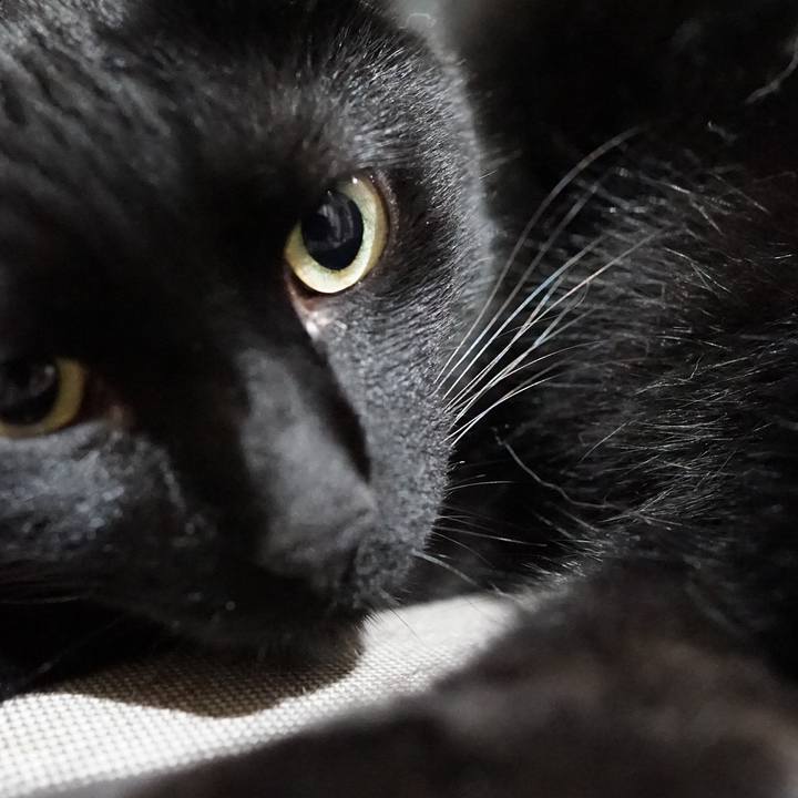 22cf4bd2 3af6 4a76 a949 166bc7e13892 1565796858866