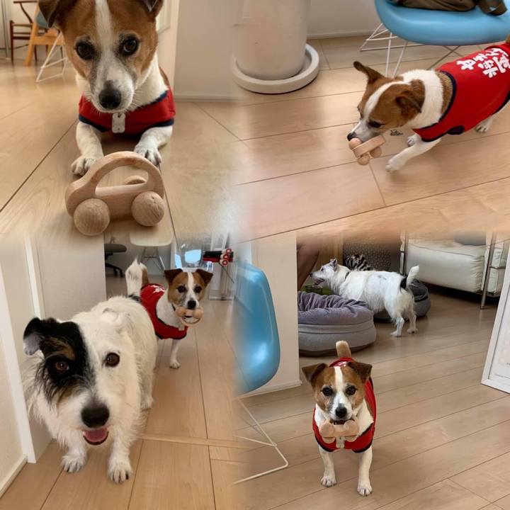 22cf4d63 ccdc 489d ba61 19f785cca625 1693187351722