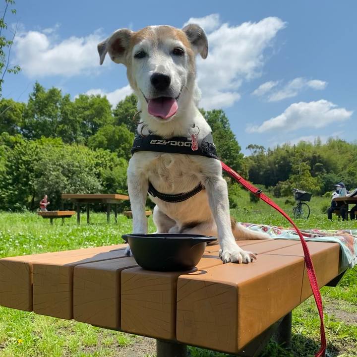 22cf6228 ba05 4baa 9709 00963adf3699 1621752298376