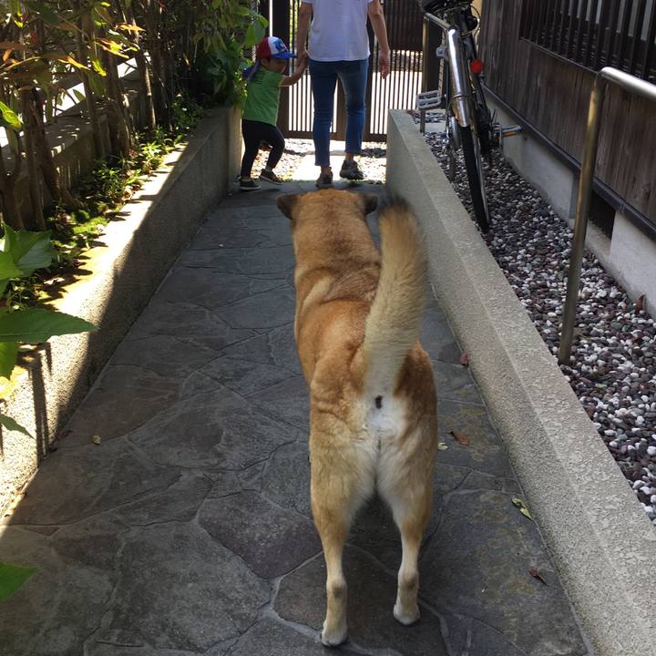 22cf6b03 7ef7 4559 a5c5 04711e30dc1a 1529206830253