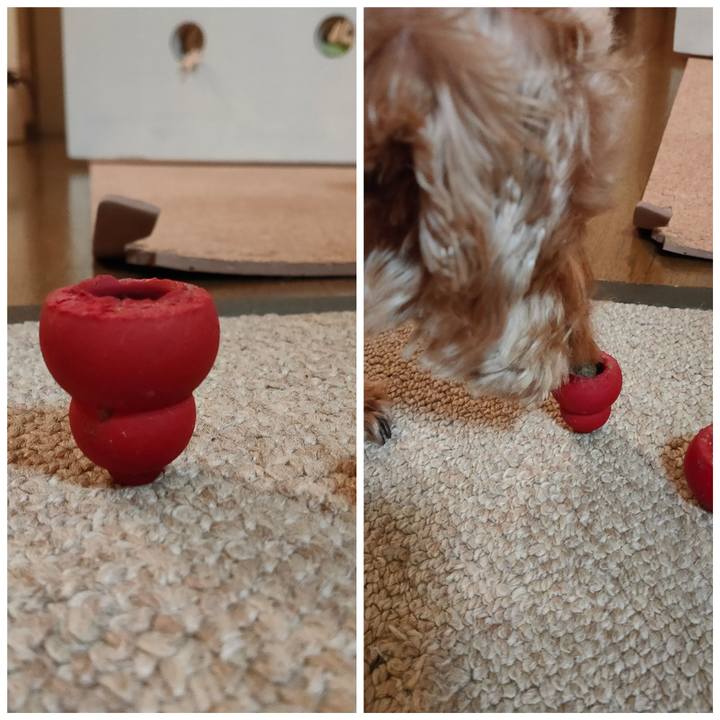 22cfa699 2db3 465f 8379 dec2a6ed926d 1582028391327