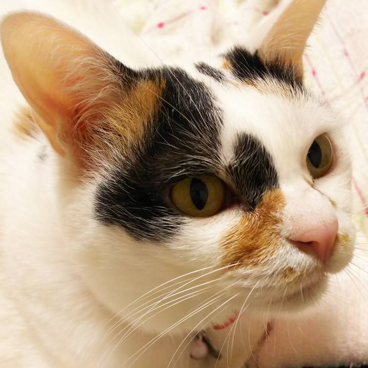 22d00e99 1f4c 4666 92eb 78f174395a39 1515770681799