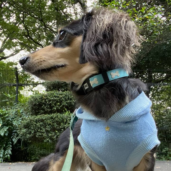 22d025a3 c95f 4b45 a511 33c27f45c88e 1695858826643