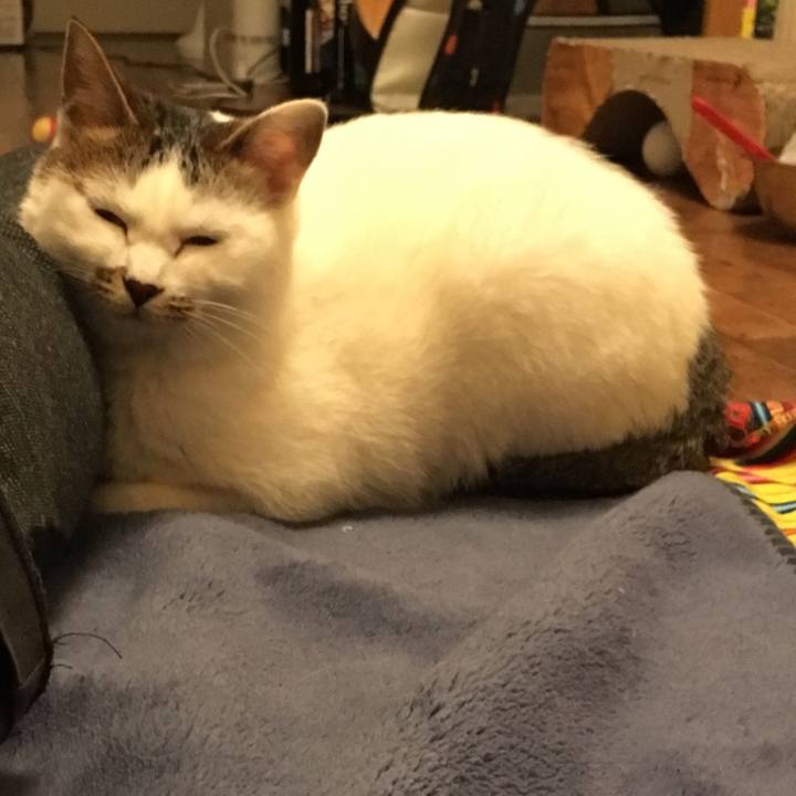 22d02caf aa60 40f1 b9be 8f2d7d7ba234 1521729550313