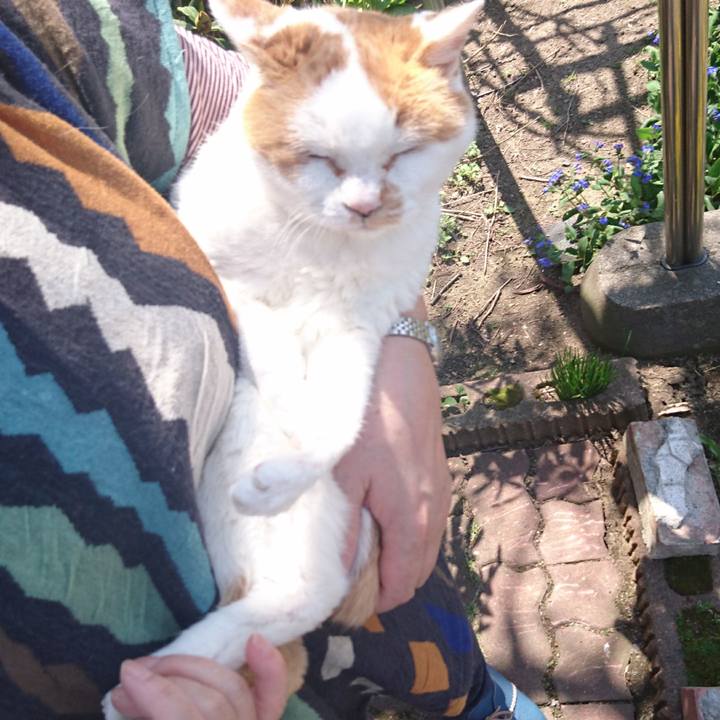 22d0435c e3df 48ba 8d12 757ed485b369 1557027252106