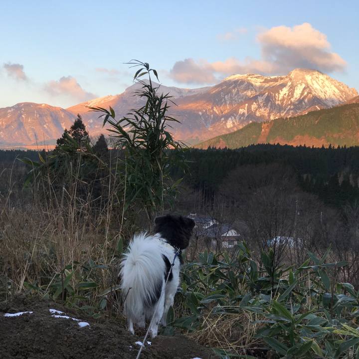 22d08ebf 3293 49da b06a 6cd41a77b5f8 1513127623714