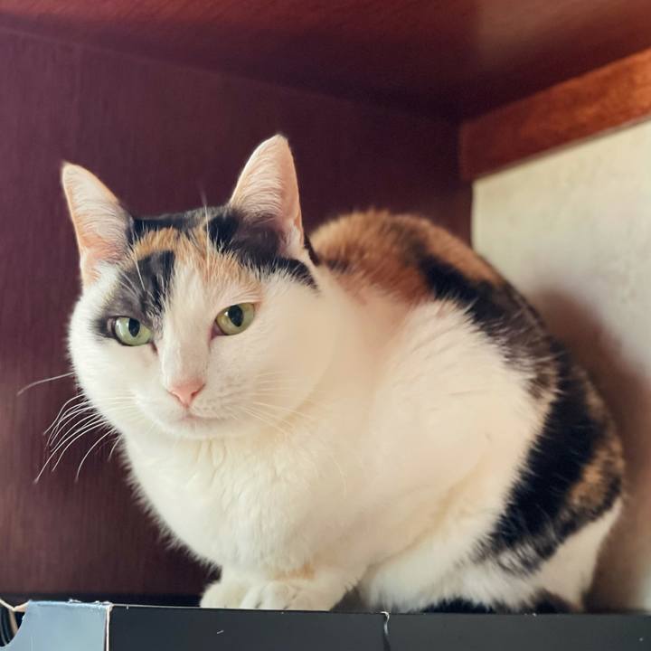 22d097bb 235a 4721 b74d f10c15cd4b42 1623206512104