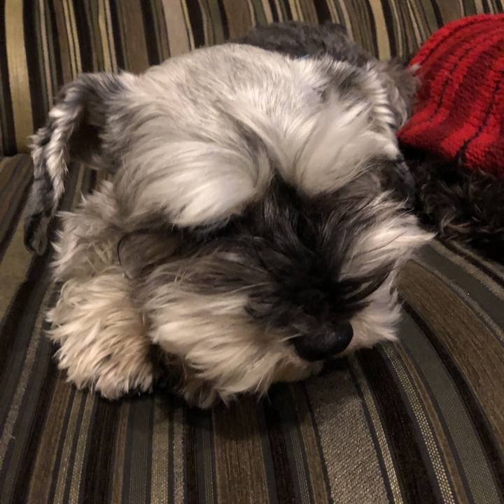 22d0b940 8ed0 47fb b0e2 c78fe9d3007e 1551357248950