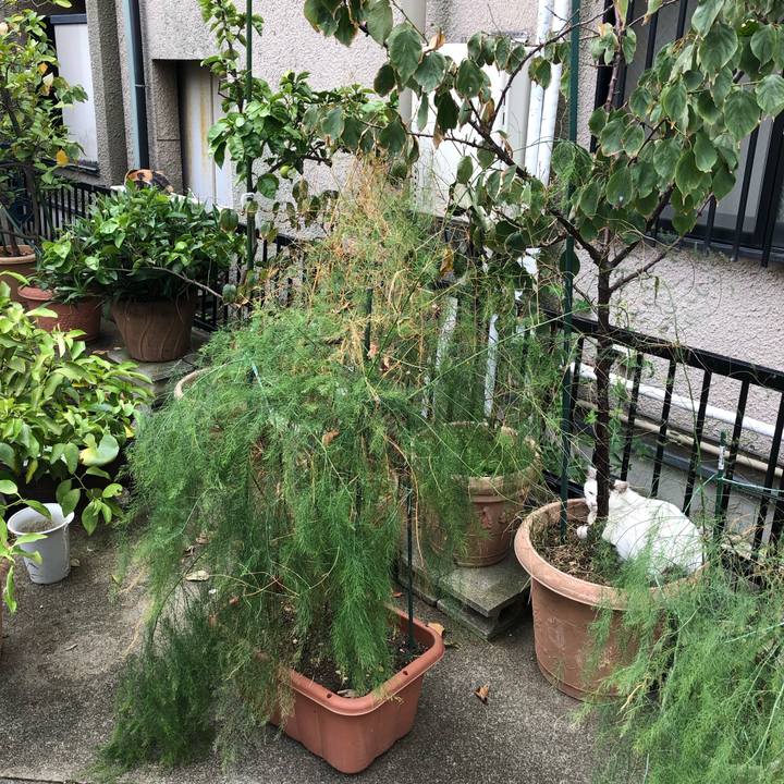 22d0baf3 817a 48ca 88bd 22cd4b7e496d 1541707117299