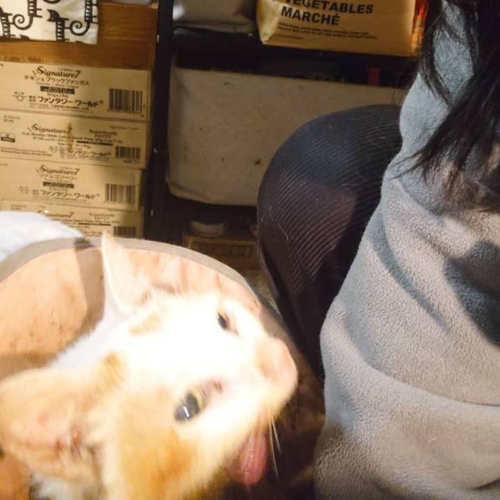 22d138df eb17 4cac 94ff 61b0f1425f6d 1765721636729