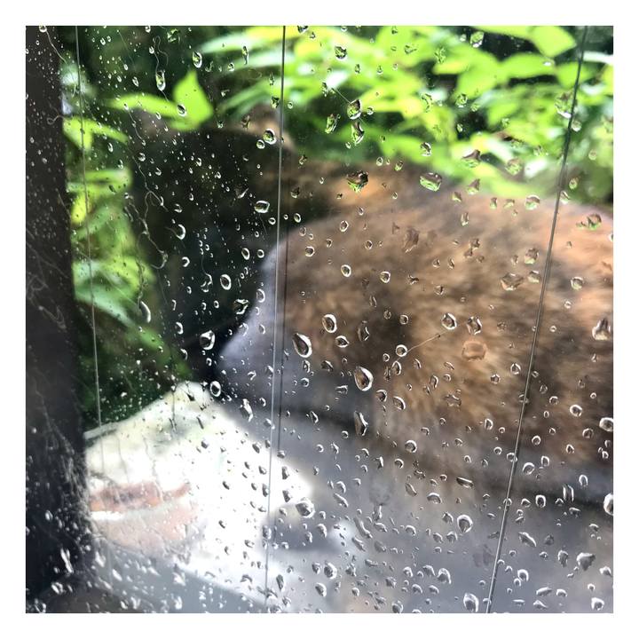 22d159a1 a05e 46cf ba38 4e976d25e5af 1652518480064