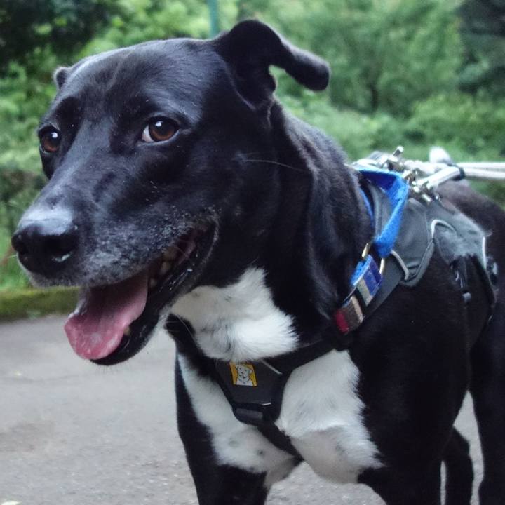 22d15faf 4fb6 421c be53 55ab1945dbee 1652526041942