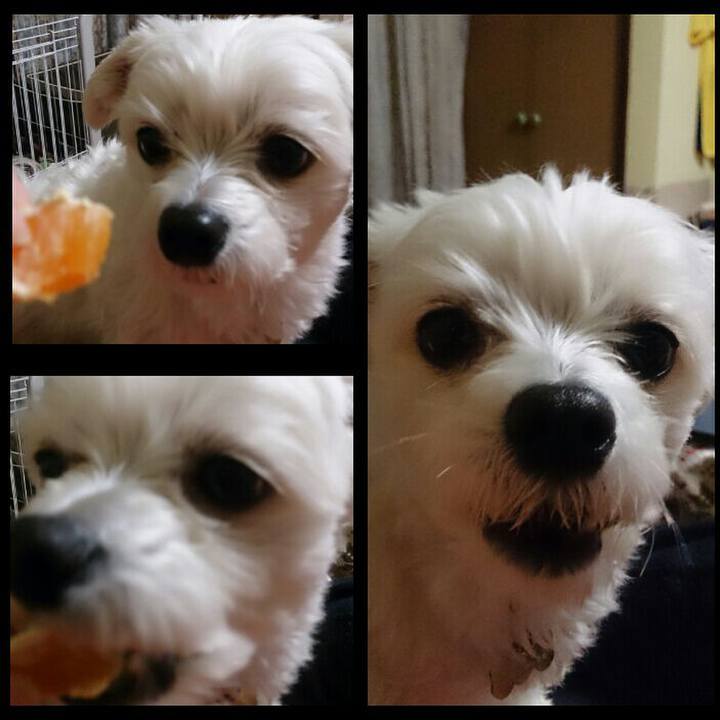 22d19603 31be 4414 8913 4de387c25612 1517054757966