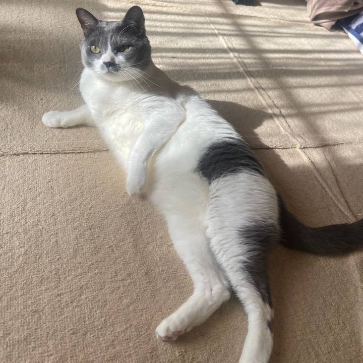 22d20189 cd6a 4603 8ac0 b77363b25339 1733018357733