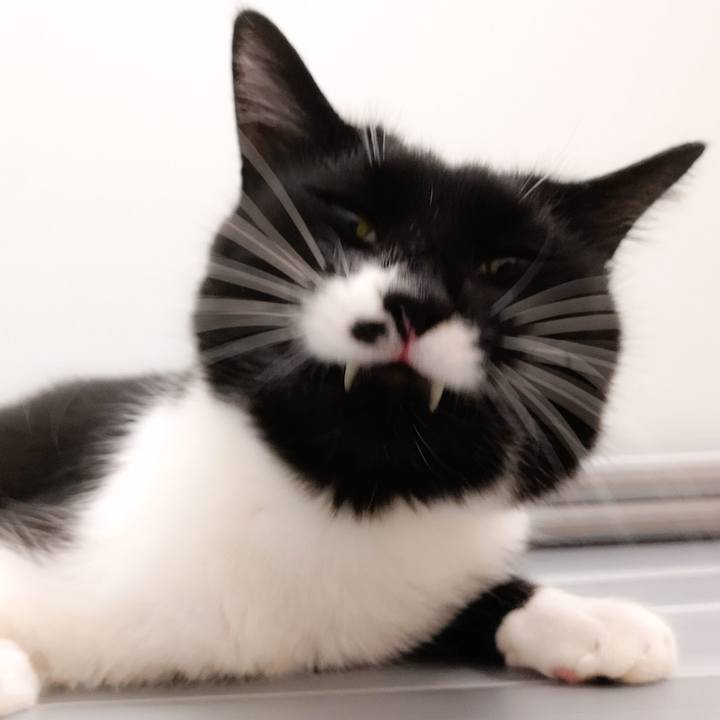 22d20271 c919 49af 9dc2 a3451bf83ab3 1557938912886