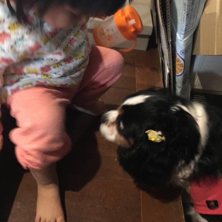 22d21079 4327 4844 bbb2 2ff2177f0387 1523878583173