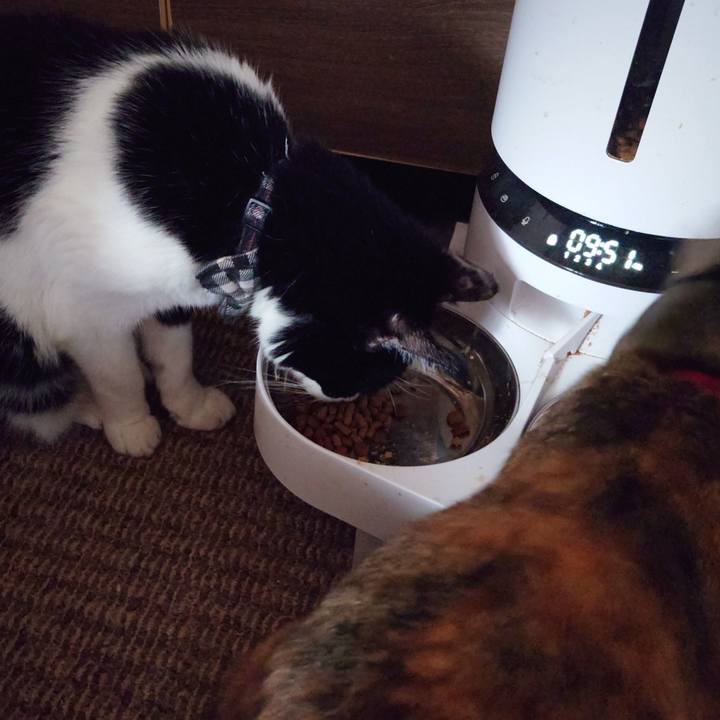 22d214c4 2475 4967 a7fa 74c81421f042 1696477037456