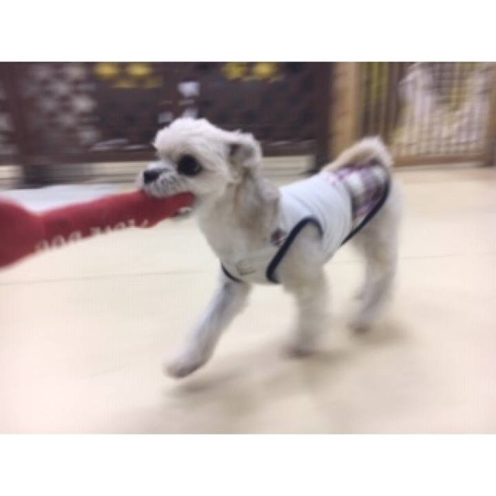 22d270e1 d68c 4f06 b34c 9ae0669db3b4 1539859910500