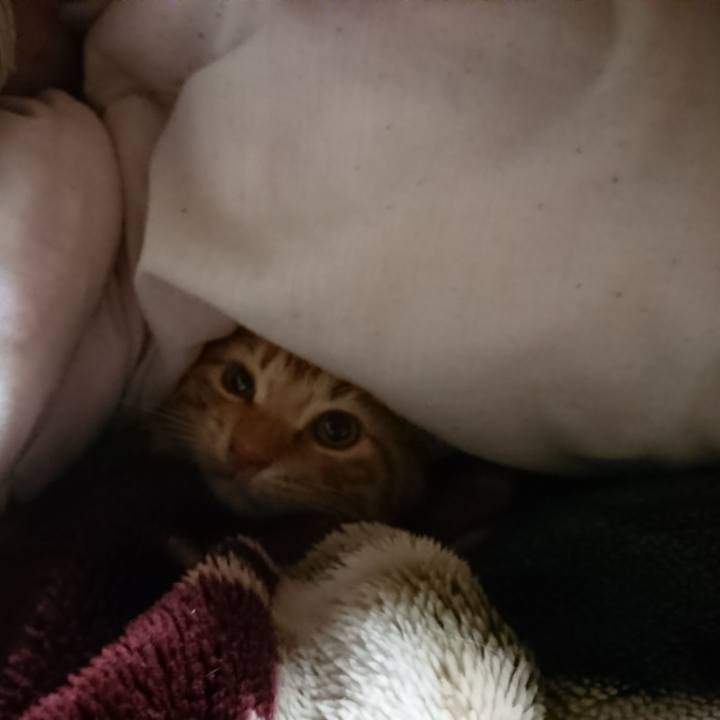 22d299b2 7dcb 4cc5 b317 2d8f7573c5f4 1639083031487