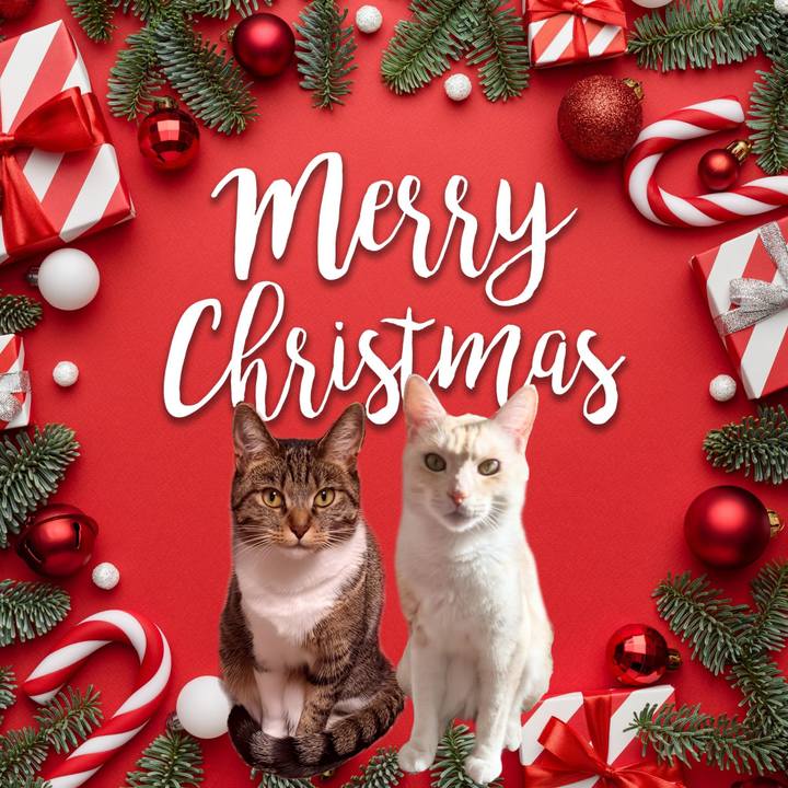 22d2f8f4 2b3e 46a2 966c b431523cbb90 1703406688303