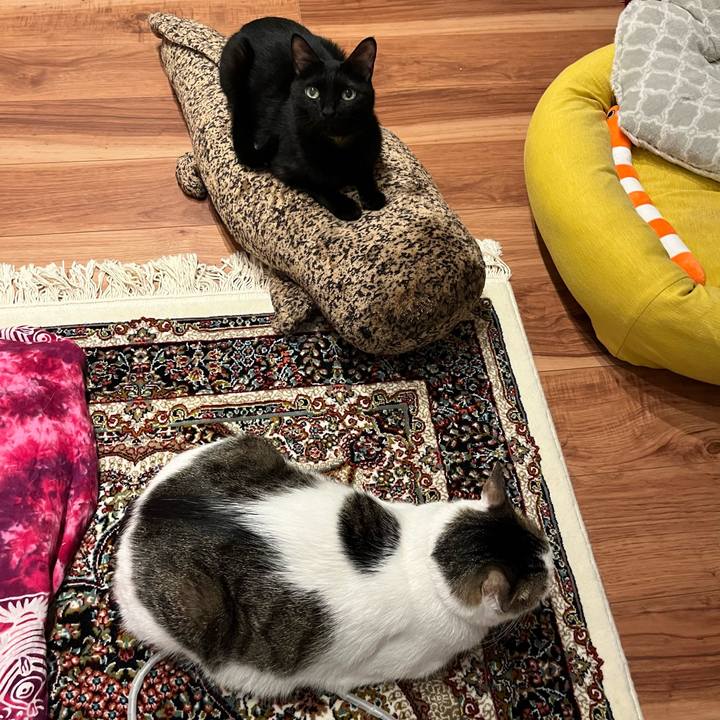 22d31055 b3a6 4545 9ab2 75d4d9869d9e 1762355346871