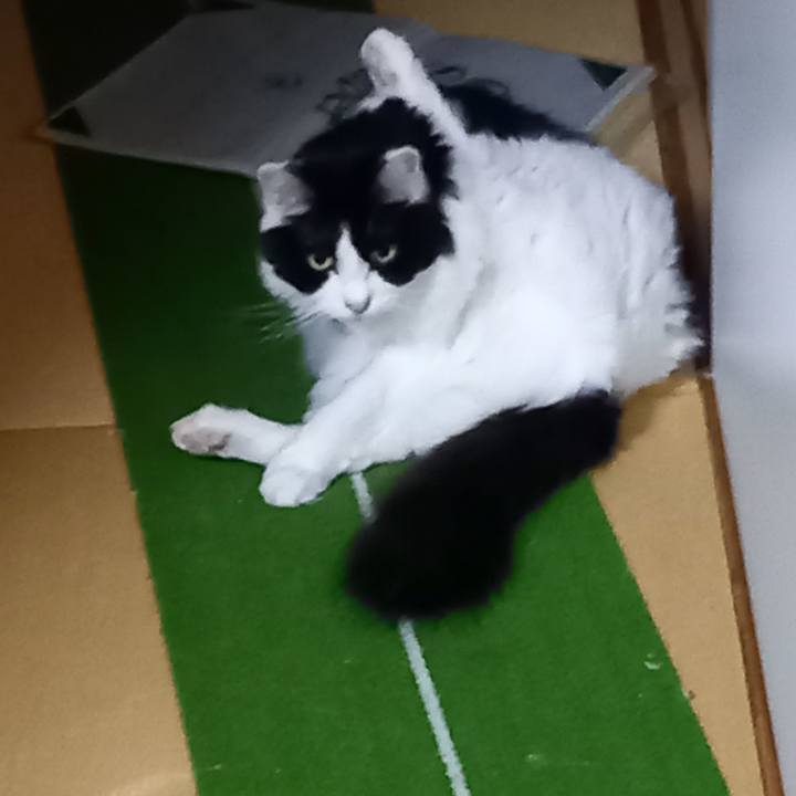 22d334fb eb2b 4bc2 a988 6da41013b432 1635153752705