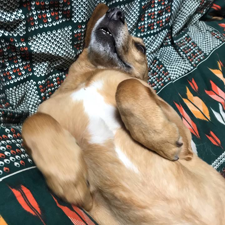 22d39bad f649 48f5 9cd6 35a77e894147 1555662349676