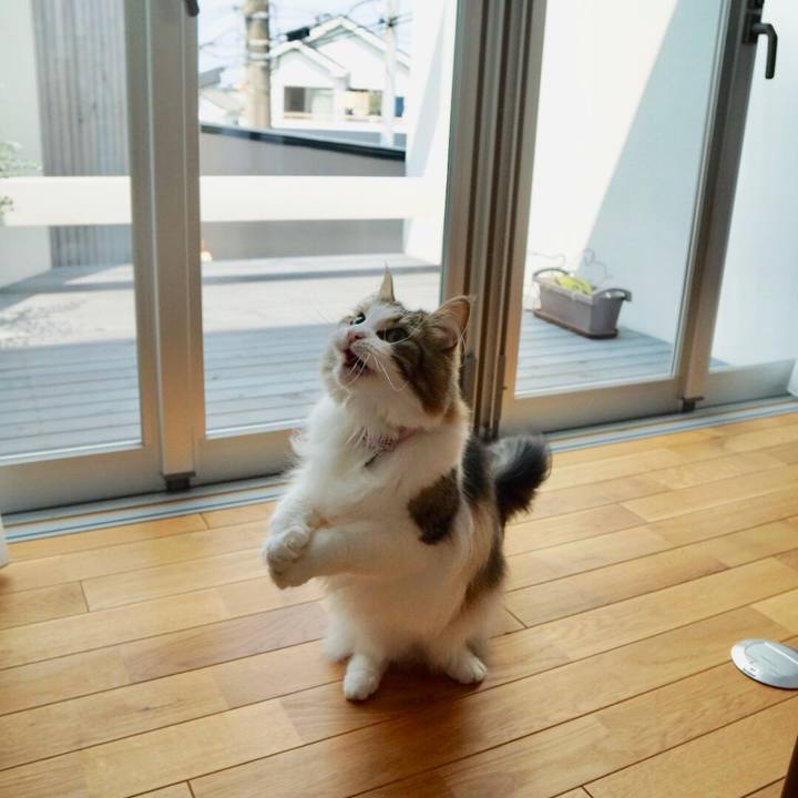 22d3a59d c1f5 4110 9fe4 62f9a4b59b81 1566121508254