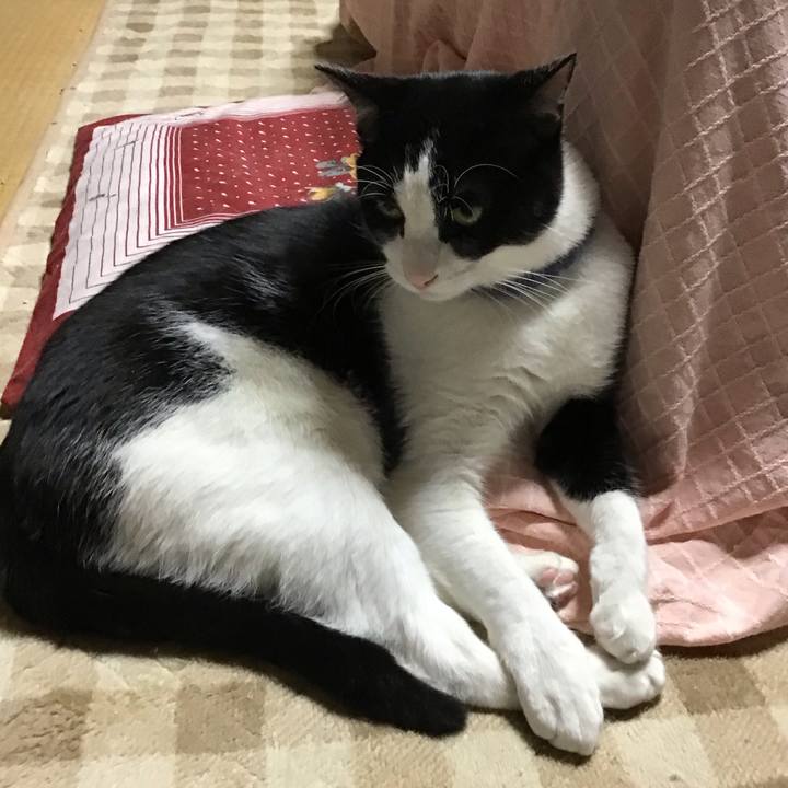 22d3b129 6964 45d0 b27f 89cf945b43fb 1668168097123