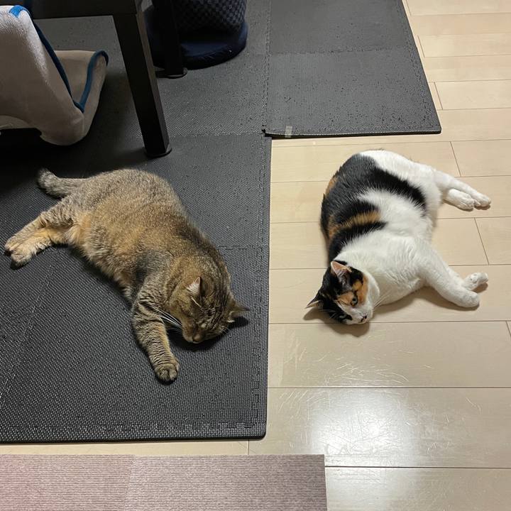 22d3b466 4af7 4922 8c1a 18a88ed6c64a 1626694163759