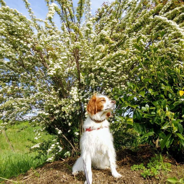 22d3b813 4724 4820 9b7f c0308892c5eb 1556756803346