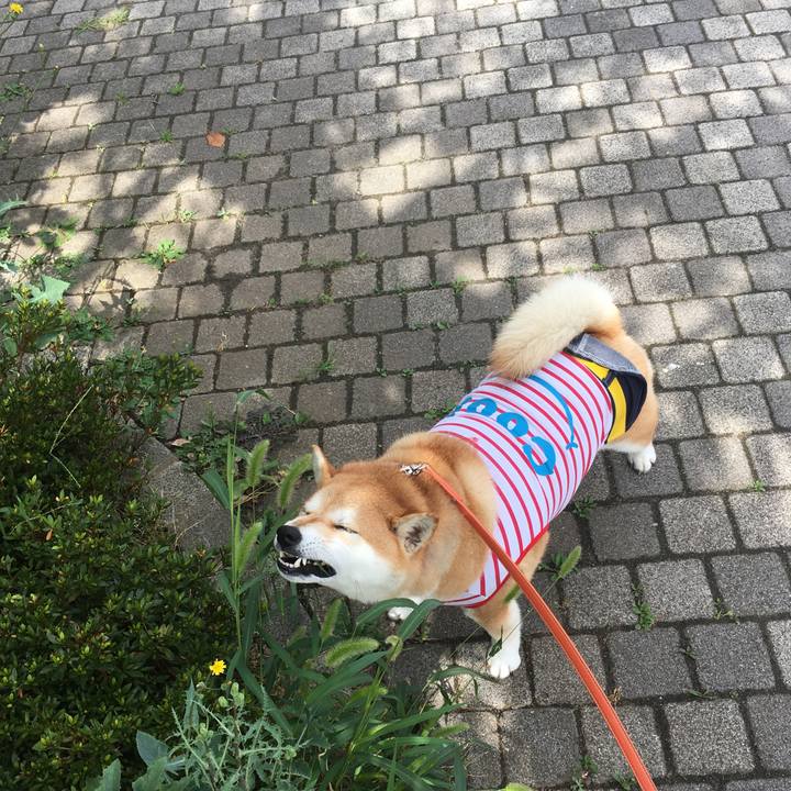 22d3d2ec 974c 4379 a3df 5d6994691f49 1565571151255