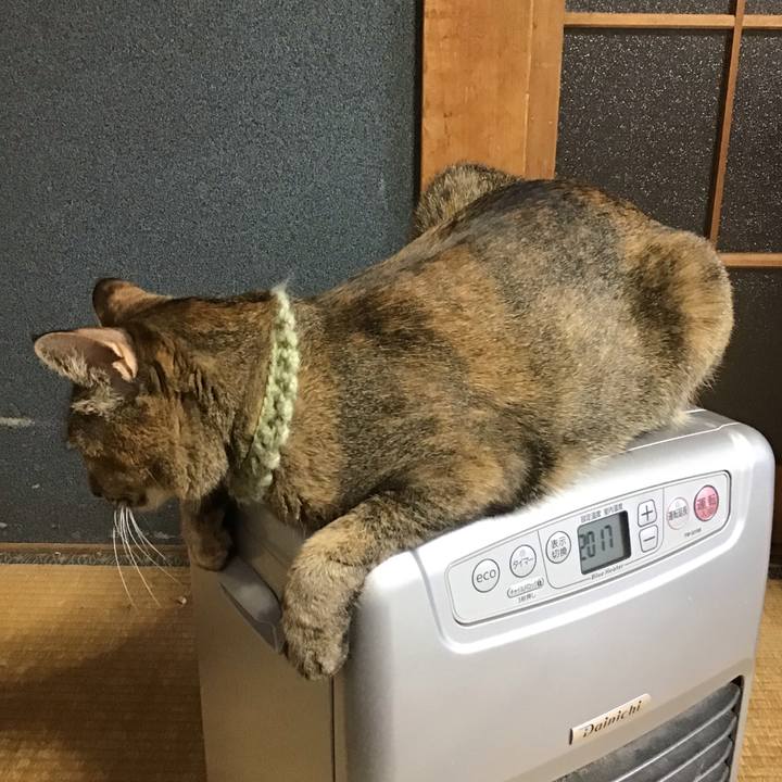 22d3e19a 787e 42bf a62f 5fa61827daf3 1645827795221