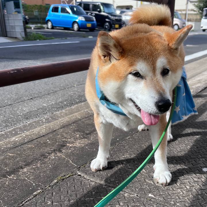 22d4094c d8c6 478f 86ae e672e55280d6 1721343273136