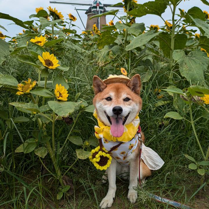 22d40e2f c3bb 47e9 b7f8 70f7f77f2693 1720602821374