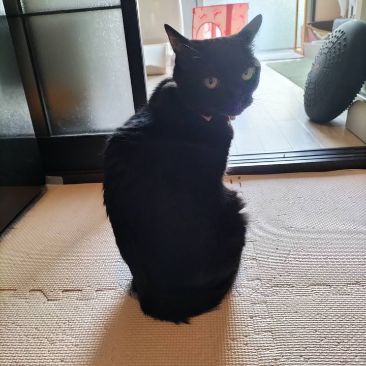 22d45440 ac67 4f61 9e78 fce5ec27945f 1660518988130