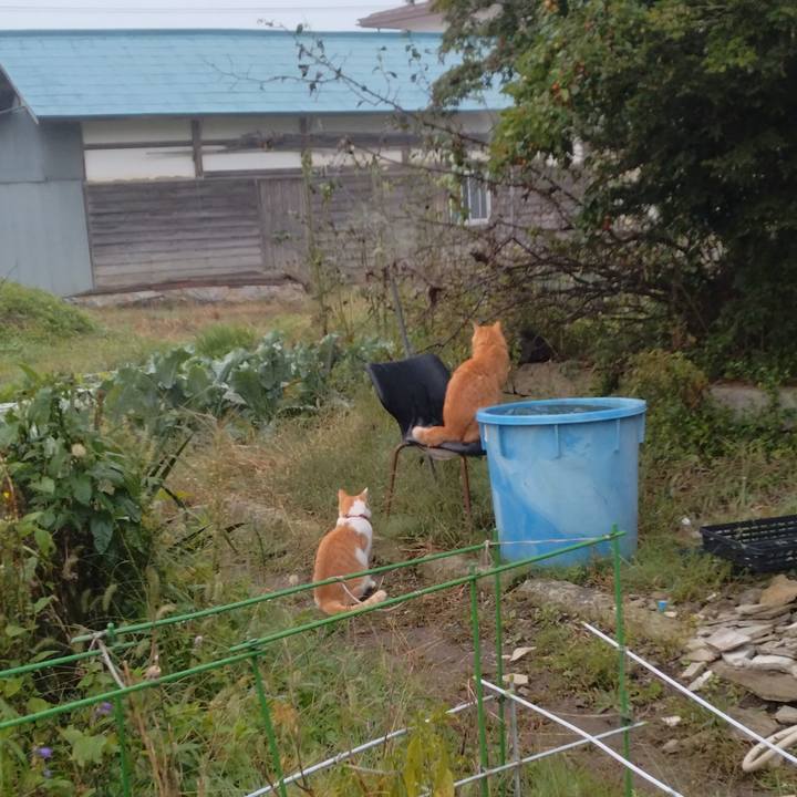 22d45fbf 2f5d 4603 85b6 492eae476458 1759534495721