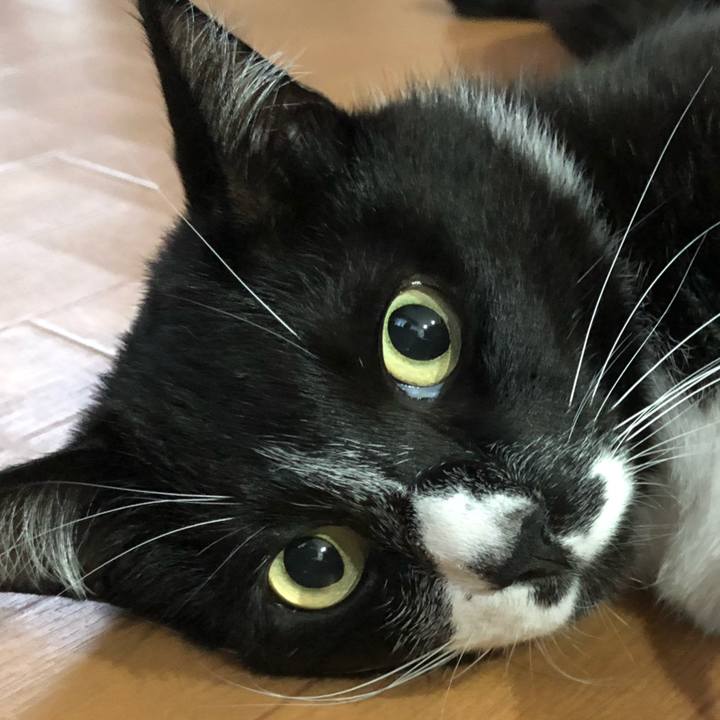 22d46ba9 7ab9 46c9 9eb1 d4de2d205023 1626495952997