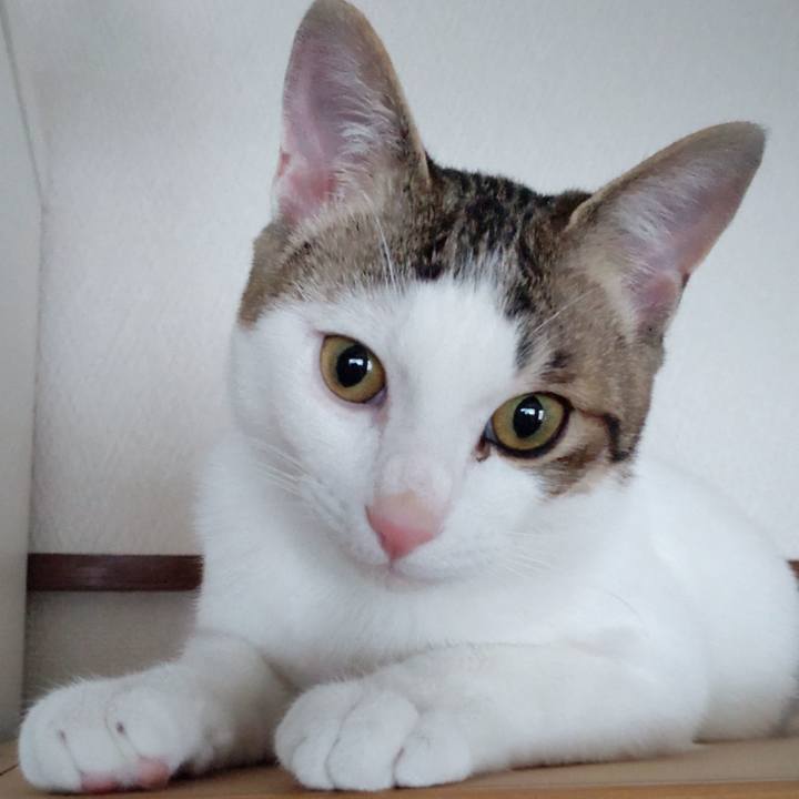 22d48202 ee91 4e1f 9752 f4ef0cd4004d 1647644362261