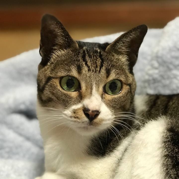 22d4a6b6 dcf6 4989 885f 50ffd062c91a 1509328526570