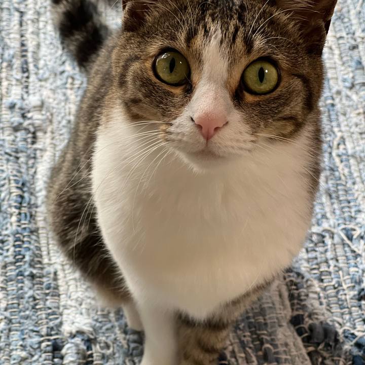 22d4c8d5 5bbe 4310 a345 5a80e2b148ab 1765358948918