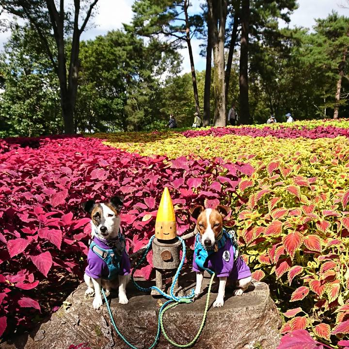 22d4f375 2b8d 449d 8997 781b0c3a1ecf 1603251138486