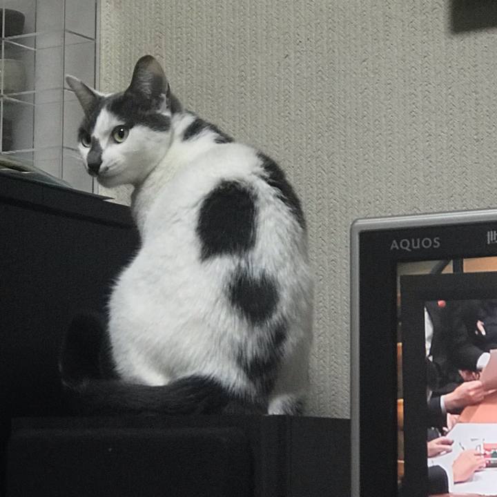 22d504ff d22d 4149 a834 1d4ac59f7f01 1549372119534