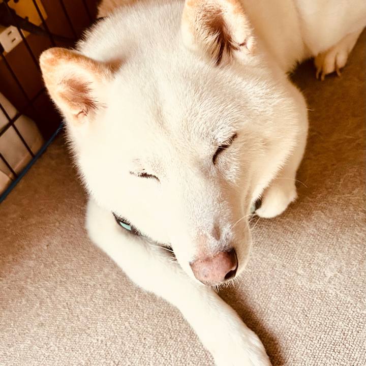 22d53c0e 9af6 48d0 9a44 14c15386ac35 1695002999886