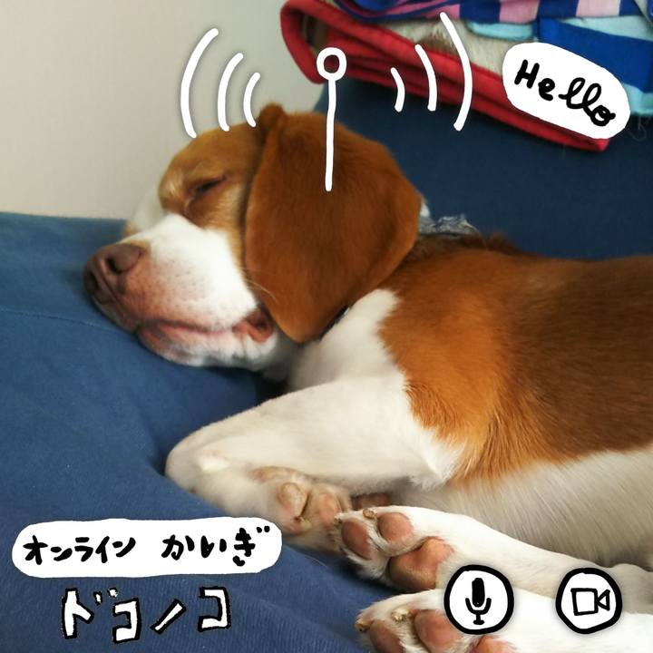 22d5552e 9a44 4ce3 9223 9291f5f987c3 1590814498372